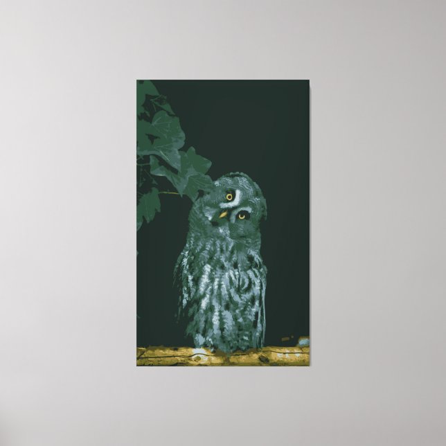 Great Grey Owl  Stretched Canvas Print (Front)
