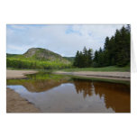 Great Head Reflection at Sand Beach Cards