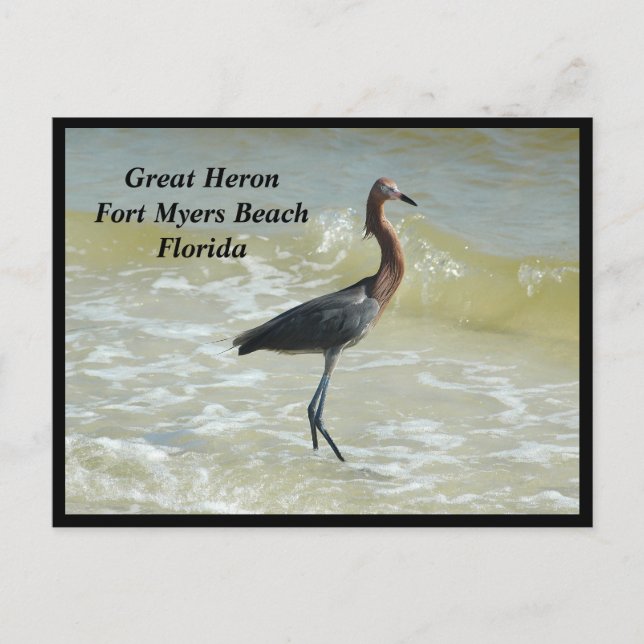 Great Heron Holiday Postcard (Front)
