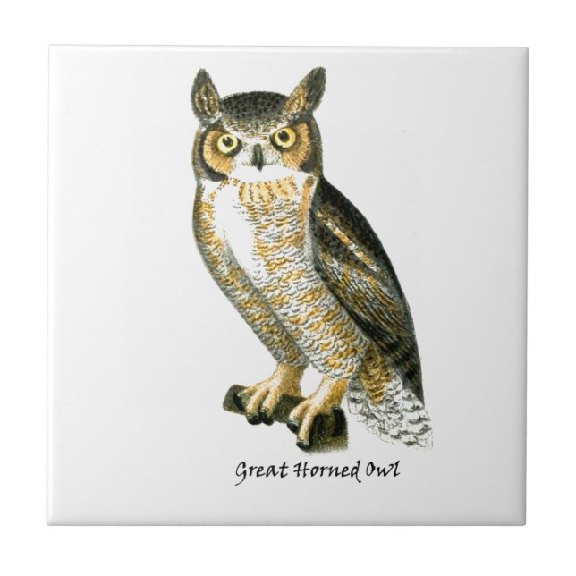 Great Horn Owl Tile (Front)