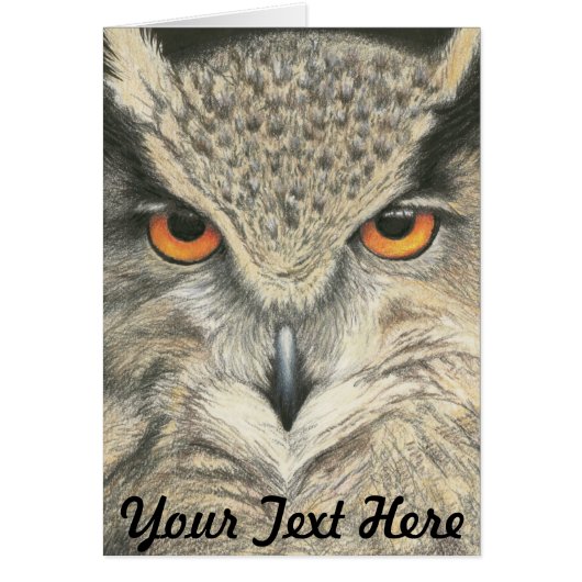 Great Horned Owl (Front)