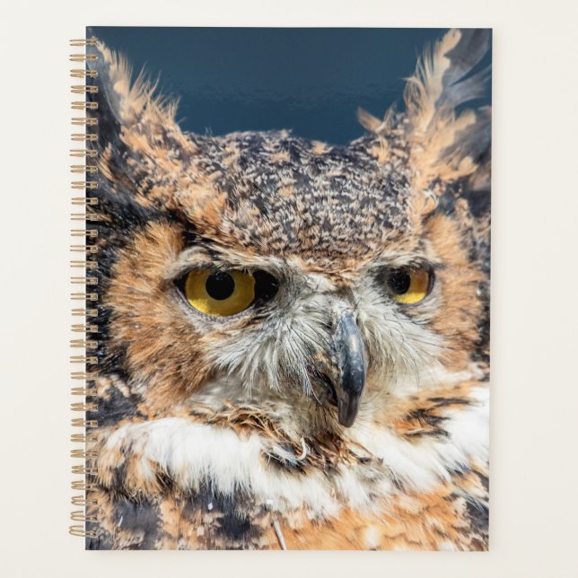 Great Horned Owl 2026 Planner | Hudson Valley (Front)