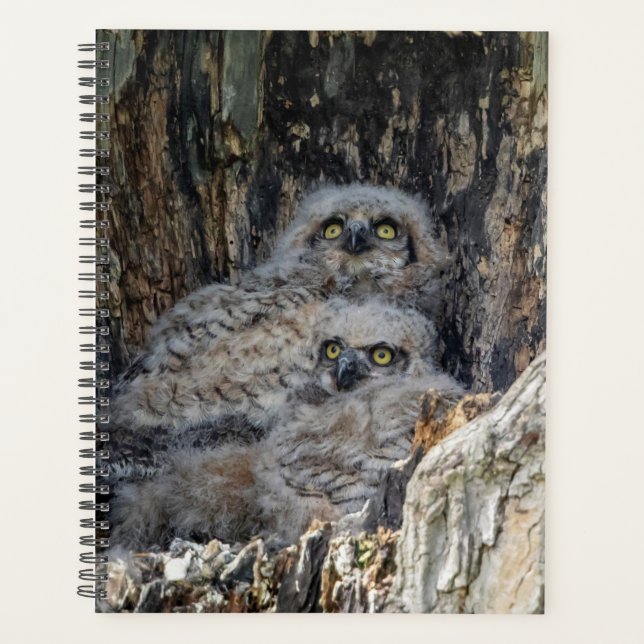 Great Horned Owl 2026 Planner | Hudson Valley (Front)