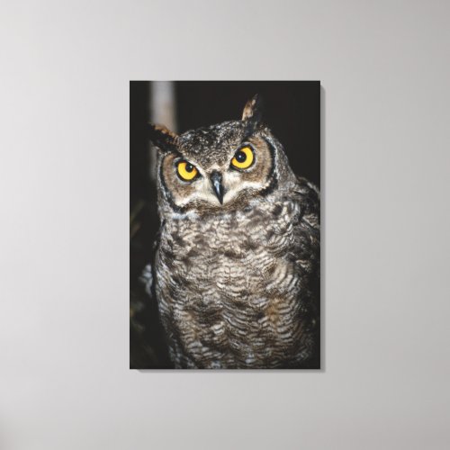 Great Horned Owl  2 Canvas Print
