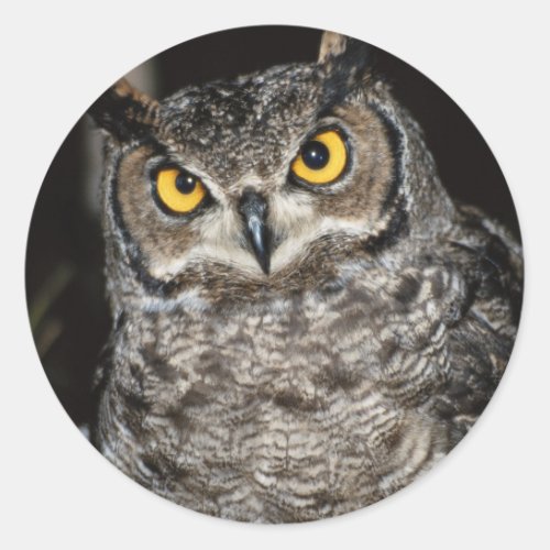 Great Horned Owl  2 Classic Round Sticker