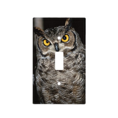 Great Horned Owl  2 Light Switch Cover