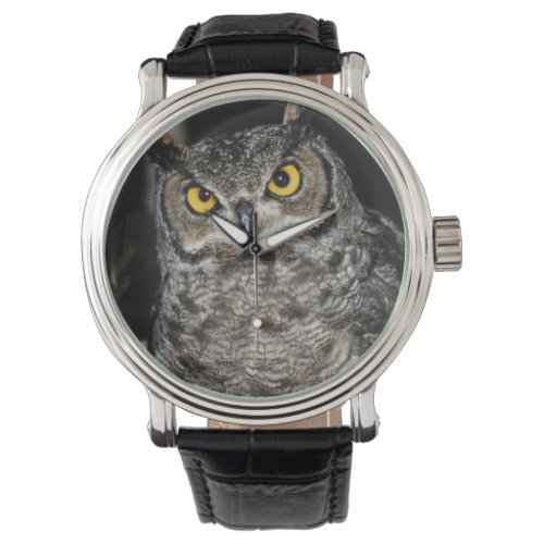 Great Horned Owl  2 Watch