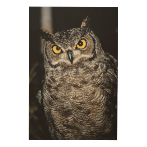 Great Horned Owl  2 Wood Wall Art