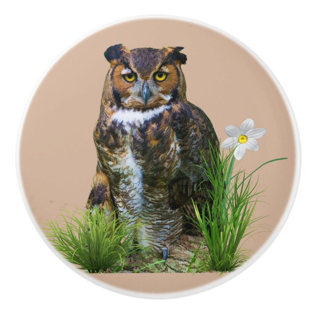 Great Horned Owl and Flower Ceramic Knob (Front)