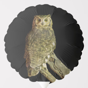 Great Horned Owl at Night Balloon