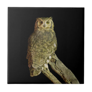 Great Horned Owl at Night Ceramic Tile
