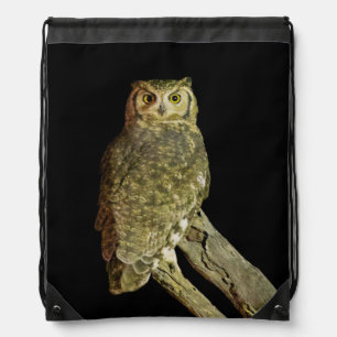 Great Horned Owl at Night Drawstring Bag