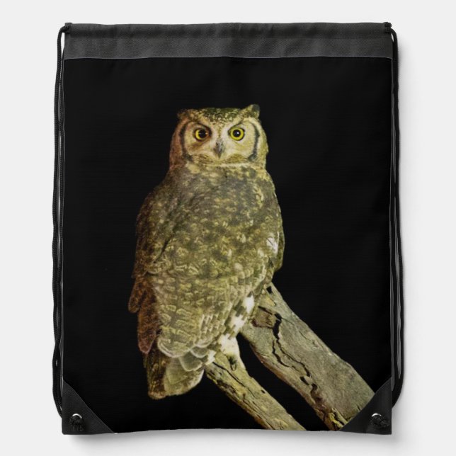 Great Horned Owl at Night Drawstring Bag (Front)