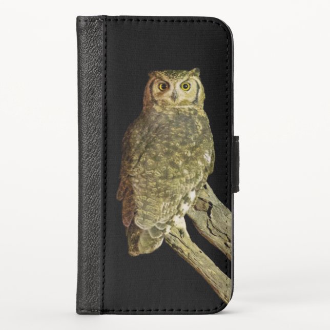 Great Horned Owl at Night iPhone Wallet Case (Front)