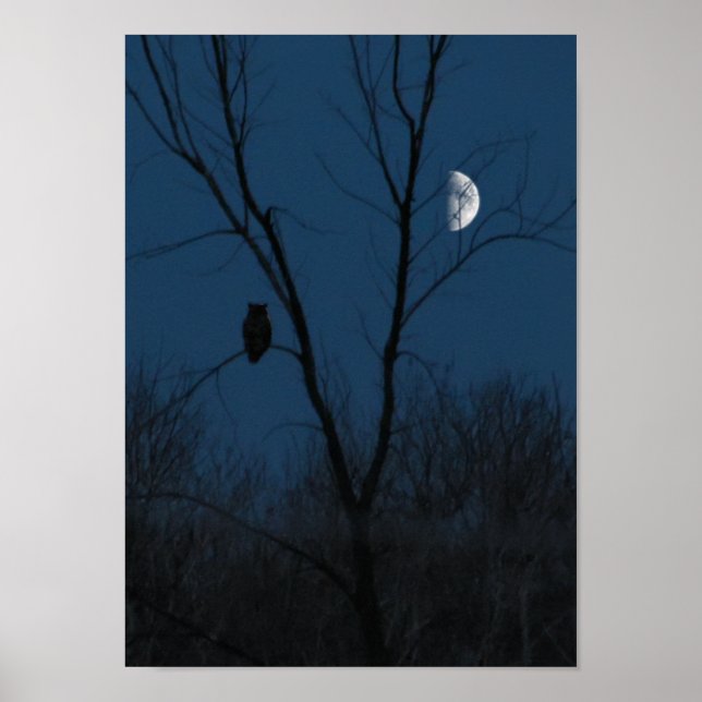 Great Horned Owl at Night Poster or Print (Front)