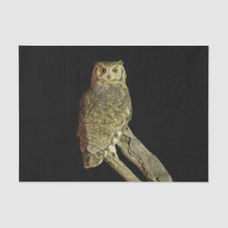 Great Horned Owl at Night Tissue Paper