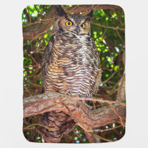 Great Horned Owl Baby Blanket Woodland Wildlife