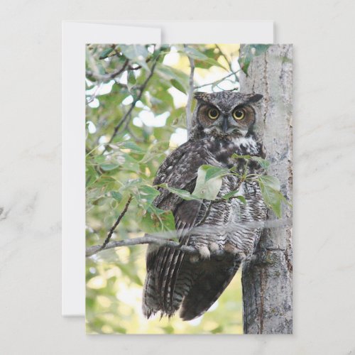 Great Horned Owl Bird Nature Art Photo  Jigsaw 
