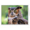 Great Horned Owl Blank Card