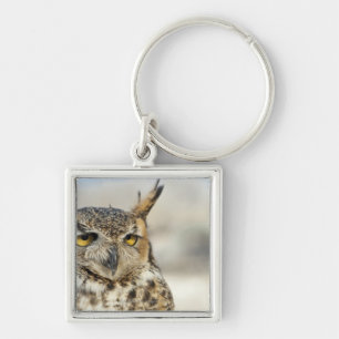 Great Horned Owl (Bubo virginianus), captive Keychain