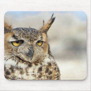 Great Horned Owl (Bubo virginianus), captive Mouse Pad