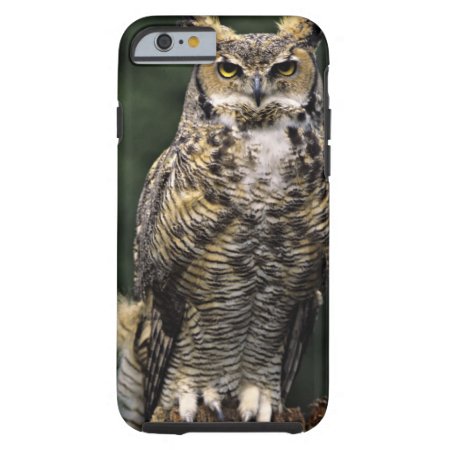 Great Horned Owl (bubo Virginianus), Full Body Tough Iphone 6 Case