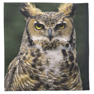 Great Horned Owl (Bubo virginianus), full body Cloth Napkin