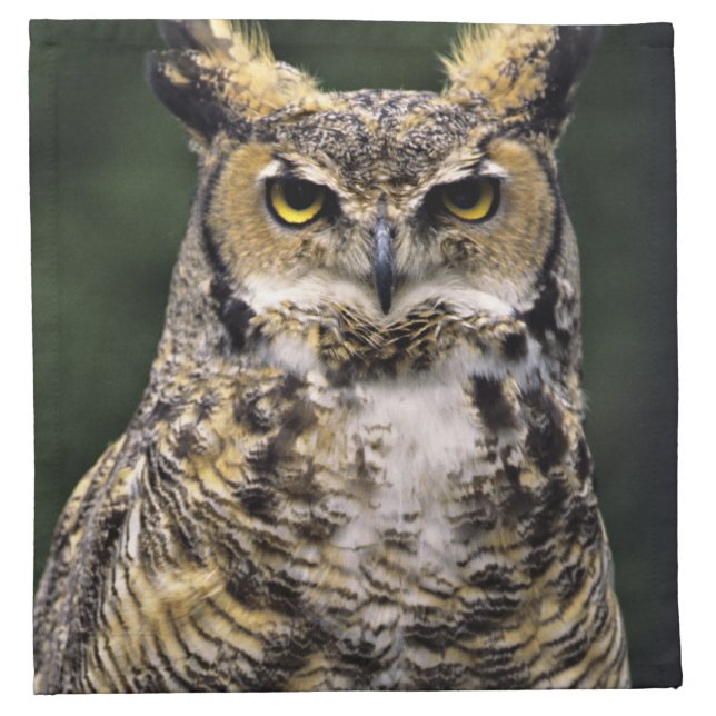 Great Horned Owl (Bubo virginianus), full body Cloth Napkin (Front)