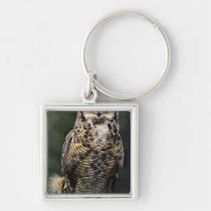 Great Horned Owl (Bubo virginianus), full body Keychain