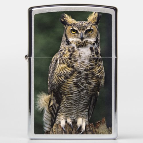 Great Horned Owl Bubo virginianus full body Zippo Lighter