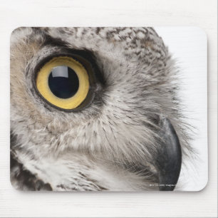 Great Horned Owl - Bubo Virginianus Subarcticus Mouse Pad