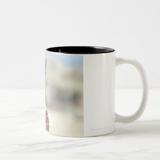 Great Horned Owl (Bubo virginianus) Two-Tone Coffee Mug (Right)
