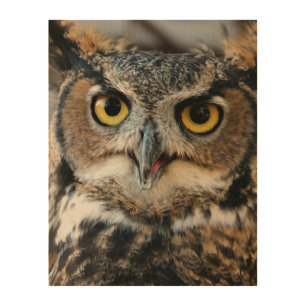 Great Horned Owl (Bubo virginianus) Wood Wall Deco Art
