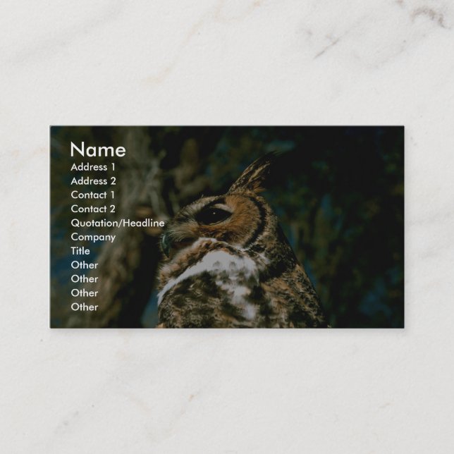 Great Horned Owl Business Card (Front)