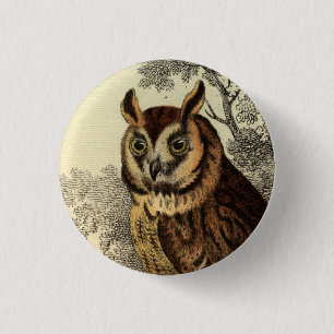 Great Horned Owl Button