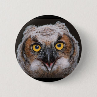 Great Horned Owl Button