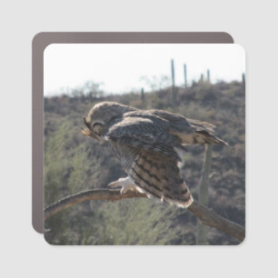 Great Horned Owl Car Magnet