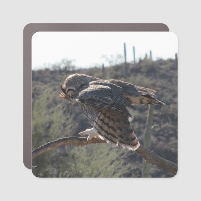 Great Horned Owl Car Magnet (Front)