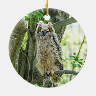 Great Horned Owl Ceramic Ornament