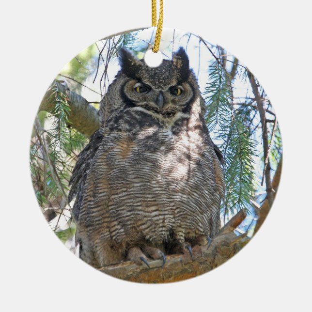 Great Horned Owl Ceramic Ornament (Front)