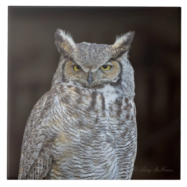 Great Horned Owl Ceramic Tile (Front)