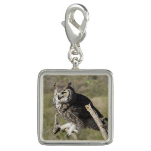 Great Horned Owl Charm