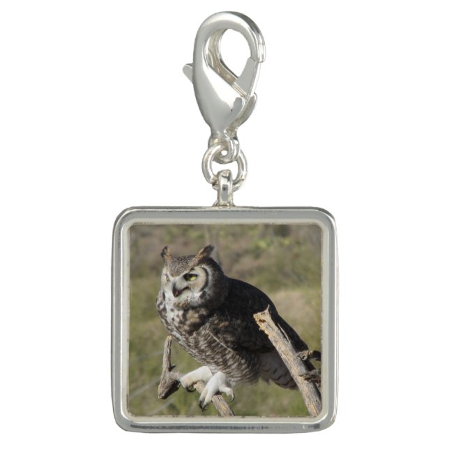 Great Horned Owl Charm (Front)
