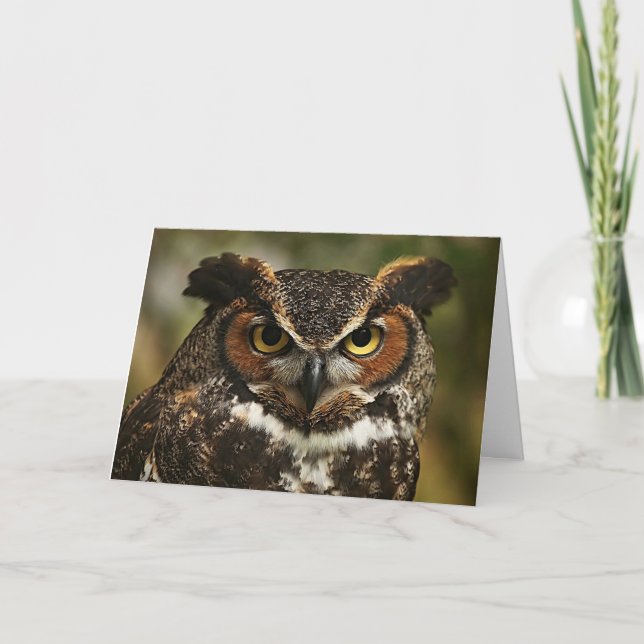Great Horned Owl Close Up Greeting Card (Front)