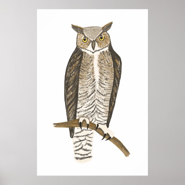 Great Horned Owl Drawing Art Poster (Front)