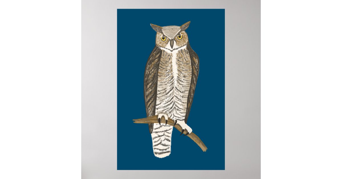 Great Horned Owl Drawing Art Poster | Zazzle.com