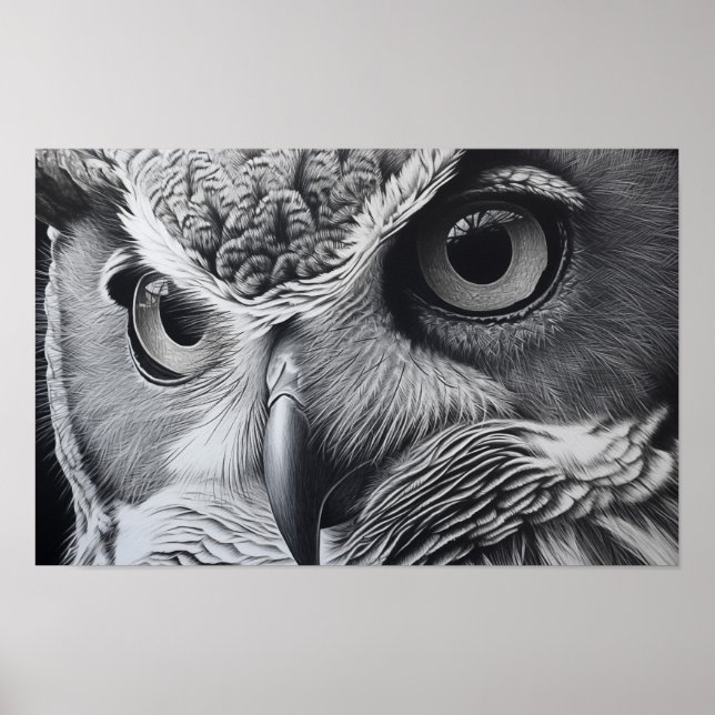Great horned owl face with eyes closeup poster (Front)