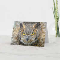 Great Horned Owl Following Eyes Card