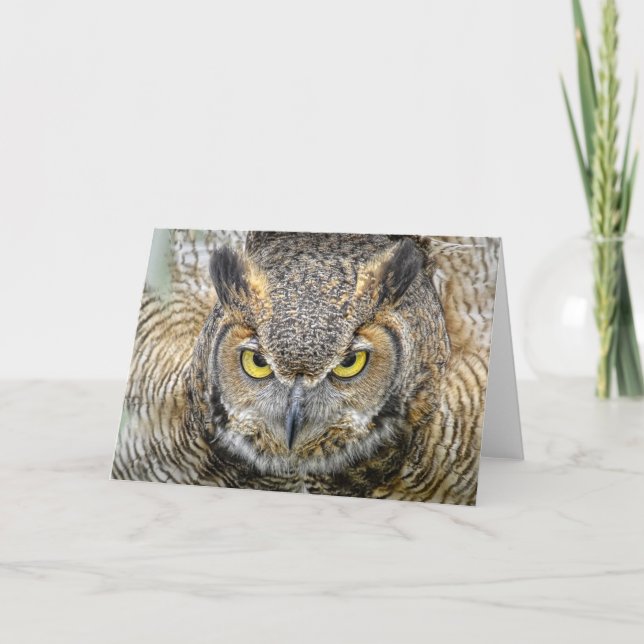 Great Horned Owl Following Eyes Card (Front)