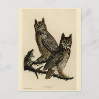 Great Horned Owl from Audubon's Birds of America Postcard